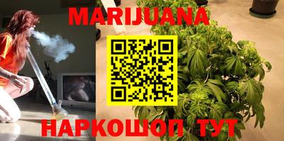 сатива Пенза
