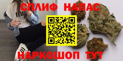 сатива Пенза
